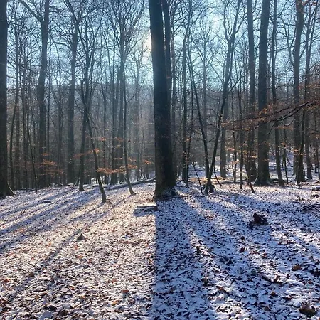 Le Cordonnier Du Staedel Feriehus La Petite-Pierre