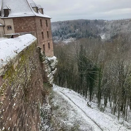 Le Cordonnier Du Staedel *