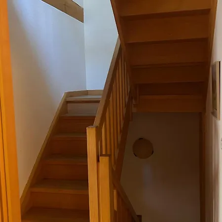 Le Cordonnier Du Staedel *